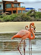 Iguana Crossing Boutique Hotel