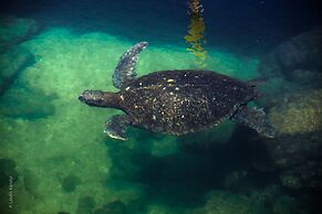 Iguana Crossing Boutique Hotel