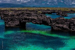 Iguana Crossing Boutique Hotel