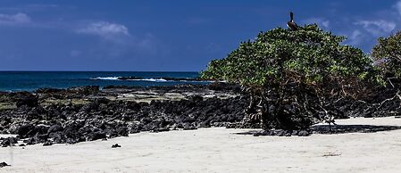 Iguana Crossing Boutique Hotel