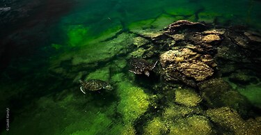 Iguana Crossing Boutique Hotel