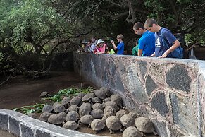 Iguana Crossing Boutique Hotel