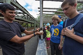 Iguana Crossing Boutique Hotel