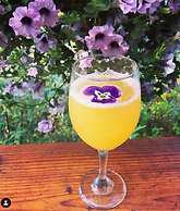 McKinley Creekside Cabins