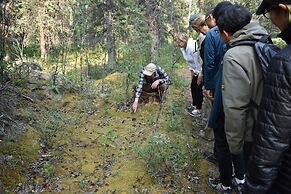McKinley Creekside Cabins