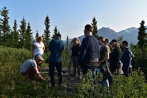 McKinley Creekside Cabins