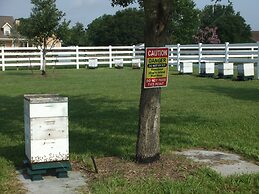 Honey Farm Bed & Breakfast