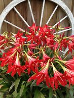 Honey Farm Bed & Breakfast