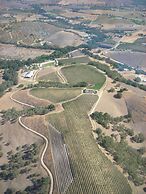 The Eden House Vineyard & Inn