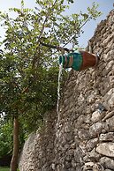 Masseria Bosco & Masseria Strazzati