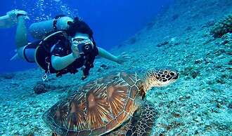 The Oberoi Beach Resort, Sahl Hasheesh