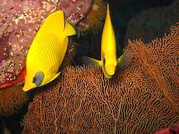 The Oberoi Beach Resort, Sahl Hasheesh