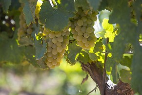 Carter Estate Winery and Resort