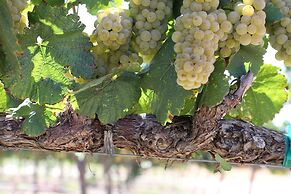 Carter Estate Winery and Resort