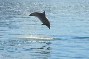 Parklands Marina Holiday Park