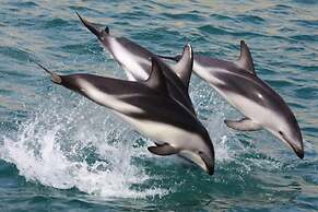 Parklands Marina Holiday Park