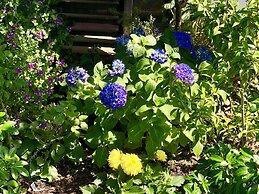 Hacienda Motor Lodge