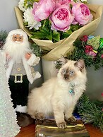 Hacienda Motor Lodge