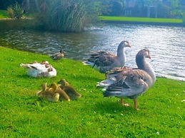 Hacienda Motor Lodge