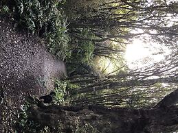 The Kaka Point Motels