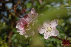 Gateway Motor Lodge Wanganui