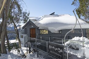 Attunga Alpine Lodge and Apartments
