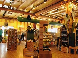 Lake Lodge Cabins - Inside the Park