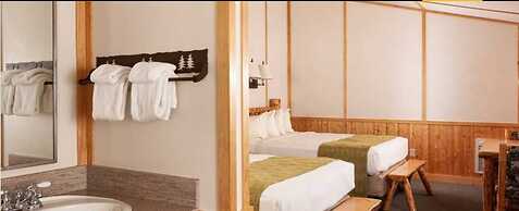 Canyon Lodge & Cabins - Inside the Park