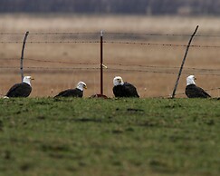 Carson Valley Motor Lodge & Suites