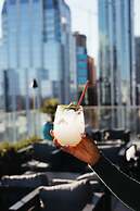 The Westin Austin Downtown