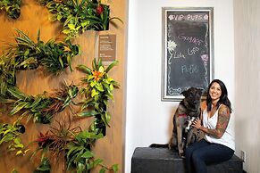 The Westin Austin Downtown