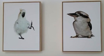 Deville at Healesville