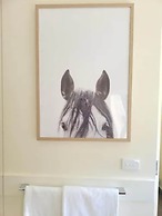 Deville at Healesville