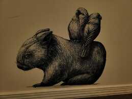 Deville at Healesville