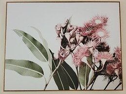 Deville at Healesville