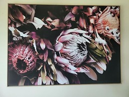 Deville at Healesville