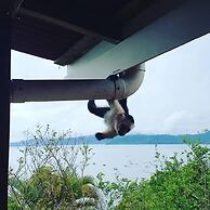 Casa Horizontes Corcovado