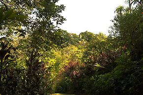 Casa Horizontes Corcovado