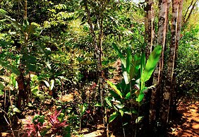 Casa Horizontes Corcovado