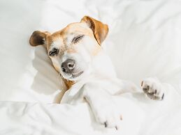 WoodSpring Suites Columbus North I-270