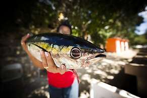 Bahia Apartments & Diving