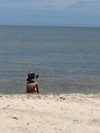 Blue Dolphin Inn and Cottages