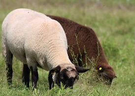 Fairmount Bed & Breakfast