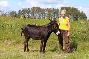 Fairmount Bed & Breakfast