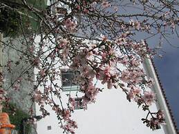 La Palma Hostel - Pensión Central