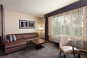 Holiday Inn Express & Suites Anaheim Resort Area by IHG
