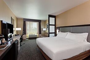 Holiday Inn Express & Suites Anaheim Resort Area by IHG