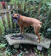 Abbington Green Bed & Breakfast Inn