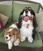 Abbington Green Bed & Breakfast Inn