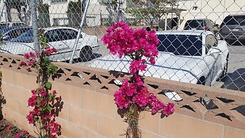 Kona Inn Motel Anaheim